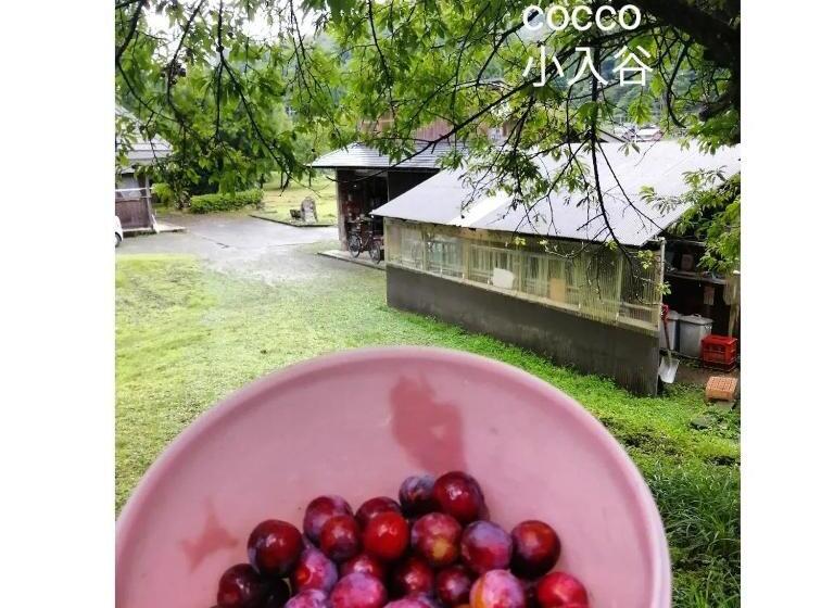 Pensionat くつき鯖街道 古民家cocco小入谷 一日一組貸切