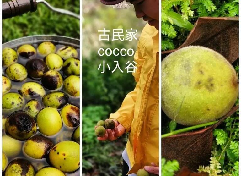 Pensionat くつき鯖街道 古民家cocco小入谷 一日一組貸切