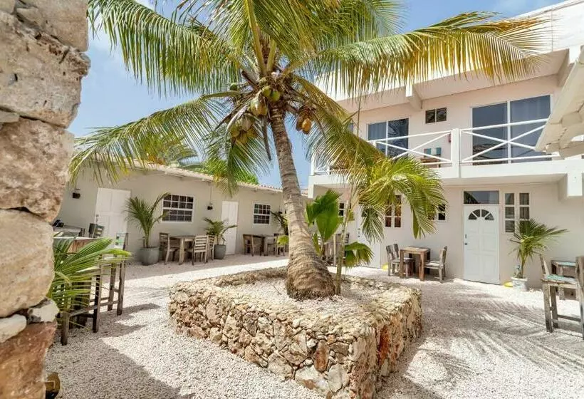 هتل The Hut Bonaire