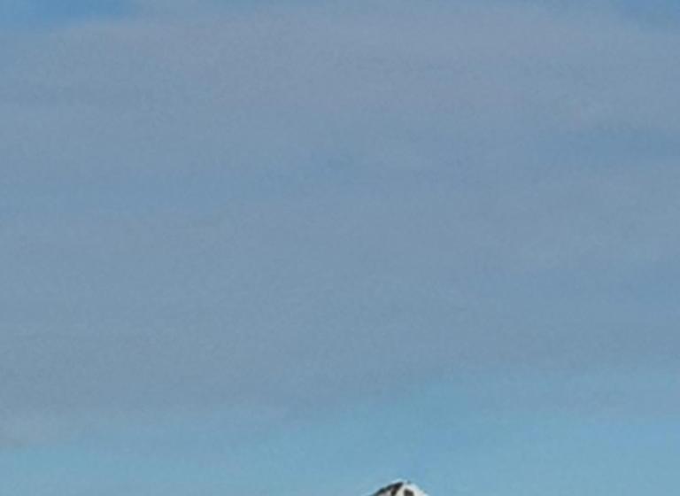 Lovely 2 Bed Apartment Porthmadog Harbourside