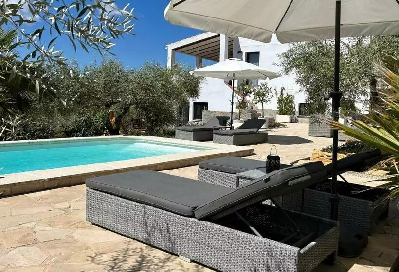 Casa De Olivos   Unique Apartments   Adult Only