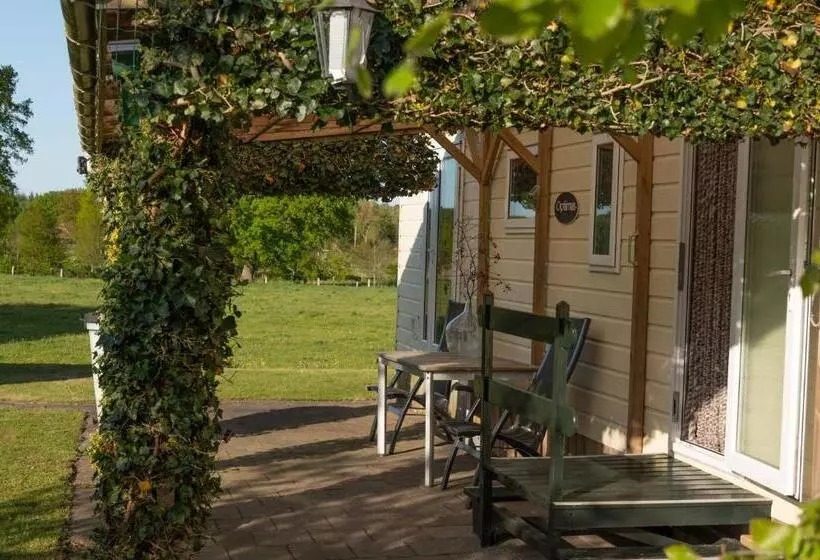 Chalet Regge