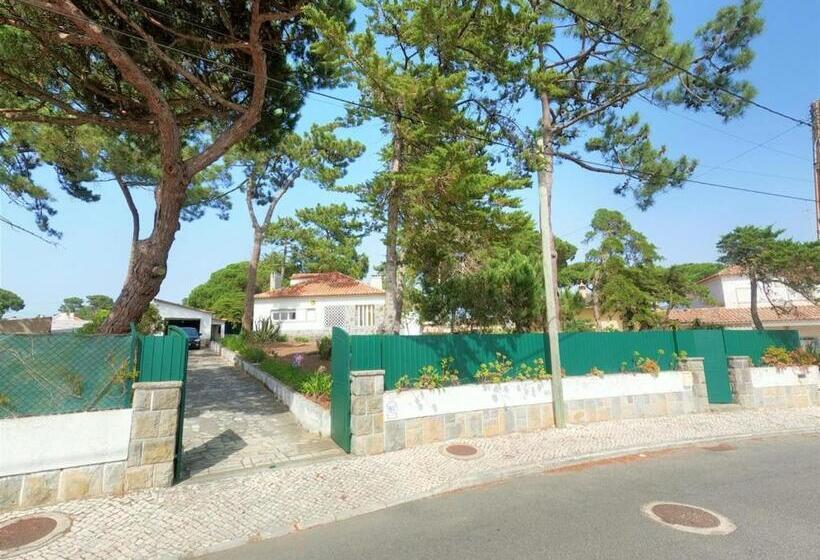 Sintra V4 House With Garden In Colares