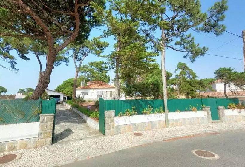 Sintra V4 House With Garden In Colares