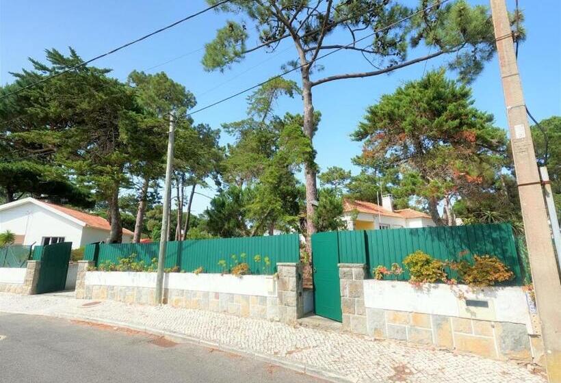 Sintra V4 House With Garden In Colares