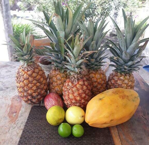 هاستل Rancho Tranquillo