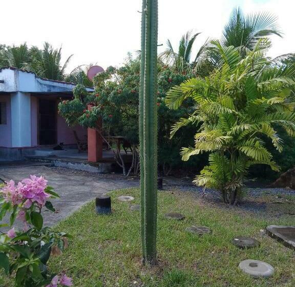 هاستل Rancho Tranquillo