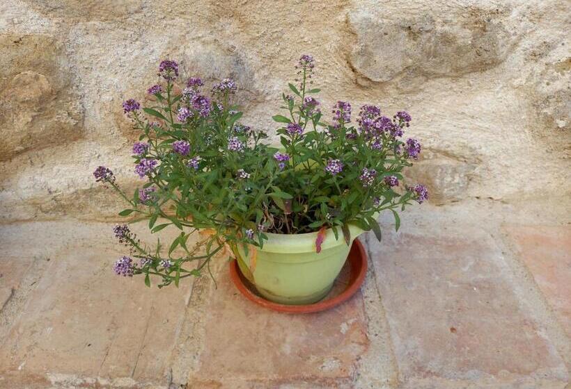 ユースホステル Rincón De Guara