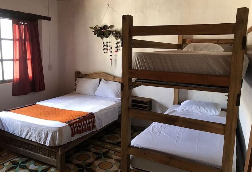 هاستل Villa Coleta