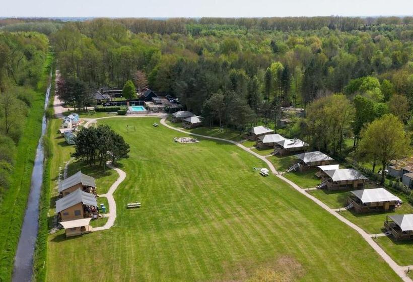 Green Tiny House With Shared Pool