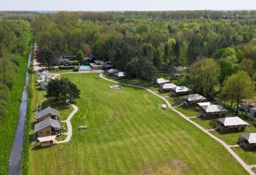 Green Tiny House With Shared Pool