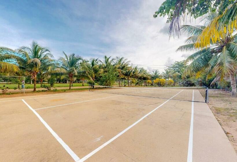 فندق Came At Hummingbird Estate Gold Standard Certified