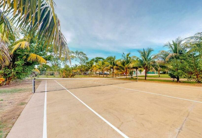 فندق Came At Hummingbird Estate Gold Standard Certified