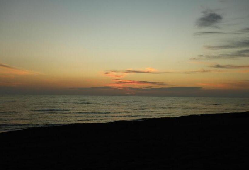 هتل Graphica Black Sea