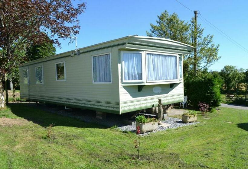 Hotel Swallows Return