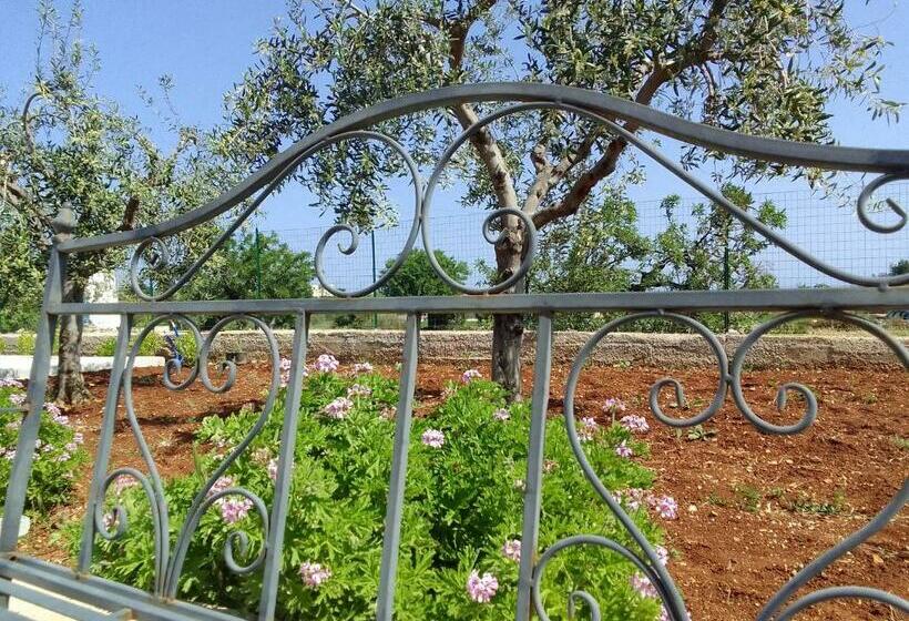 Pensione Villa Chirilú