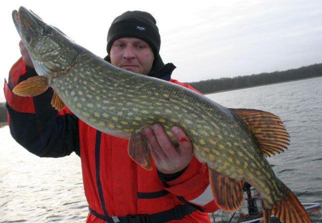 Hostel Waldhaus Am Ferienpark Mirow Zimmer Du Wc