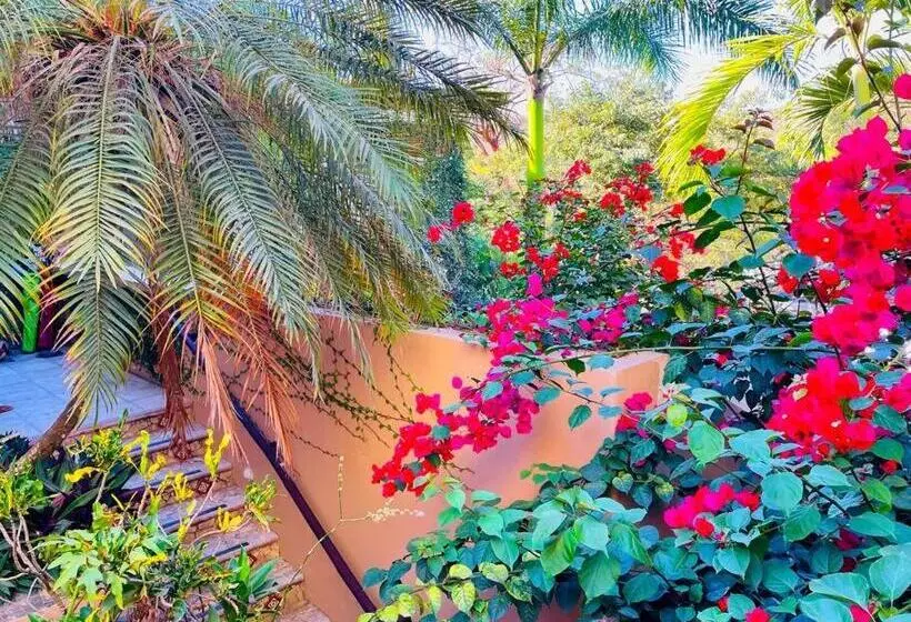Casa Boho 3