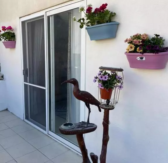 Olivier House Mellieha