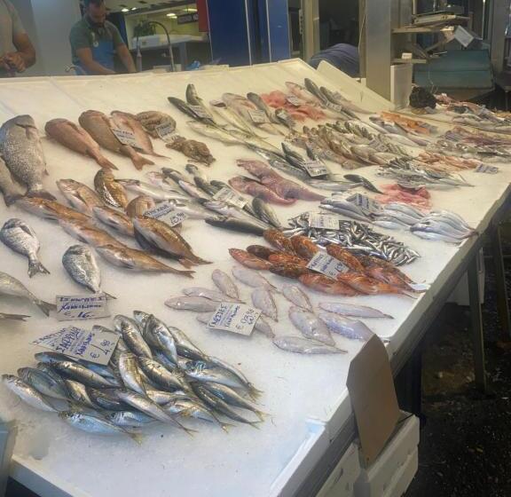 膳宿费 Vila Belanto