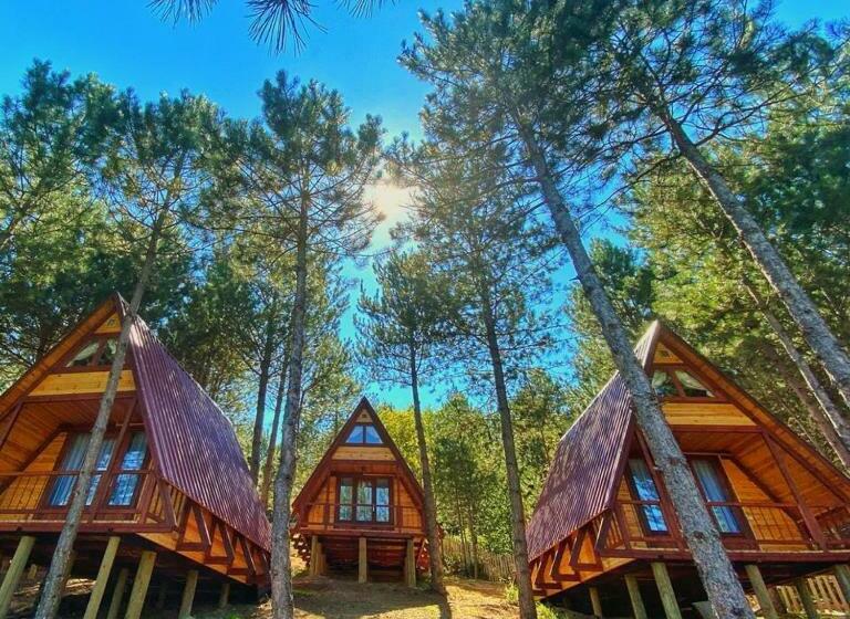 リゾートホテル Fikri Atalay Konağı Bungalov Evleri