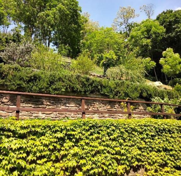 Due Camere E Una Bici