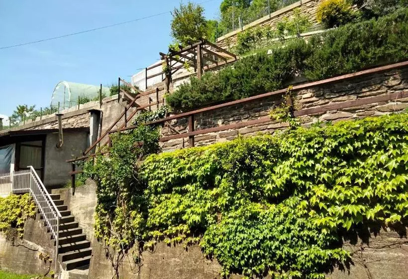 Due Camere E Una Bici