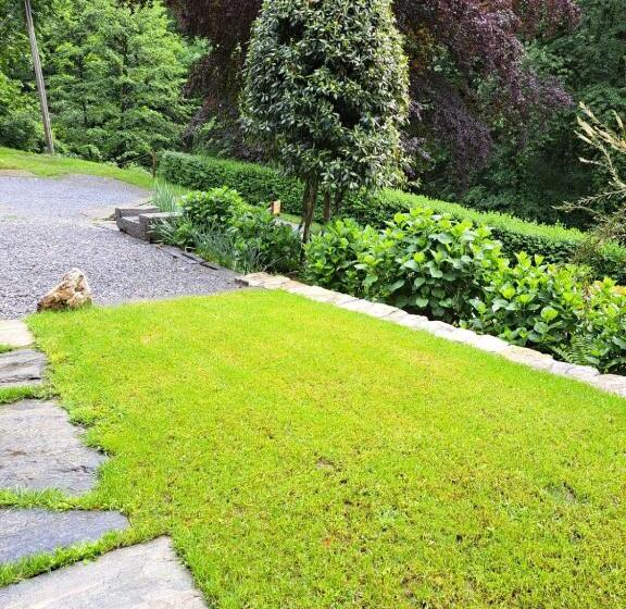 Due Camere E Una Bici