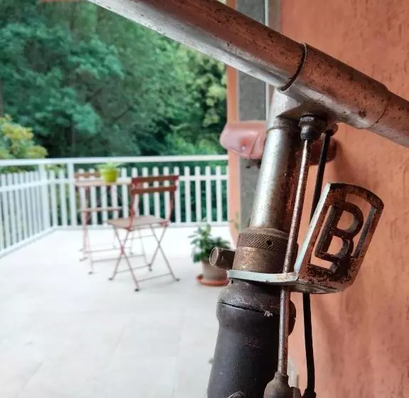 Due Camere E Una Bici