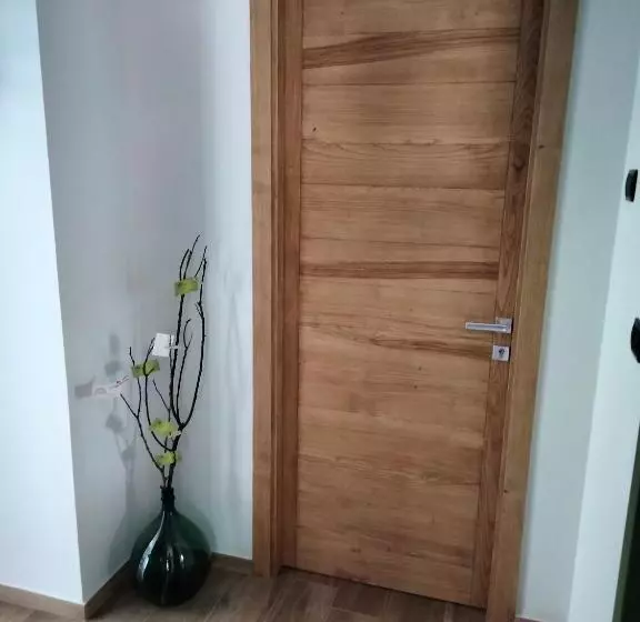 Due Camere E Una Bici