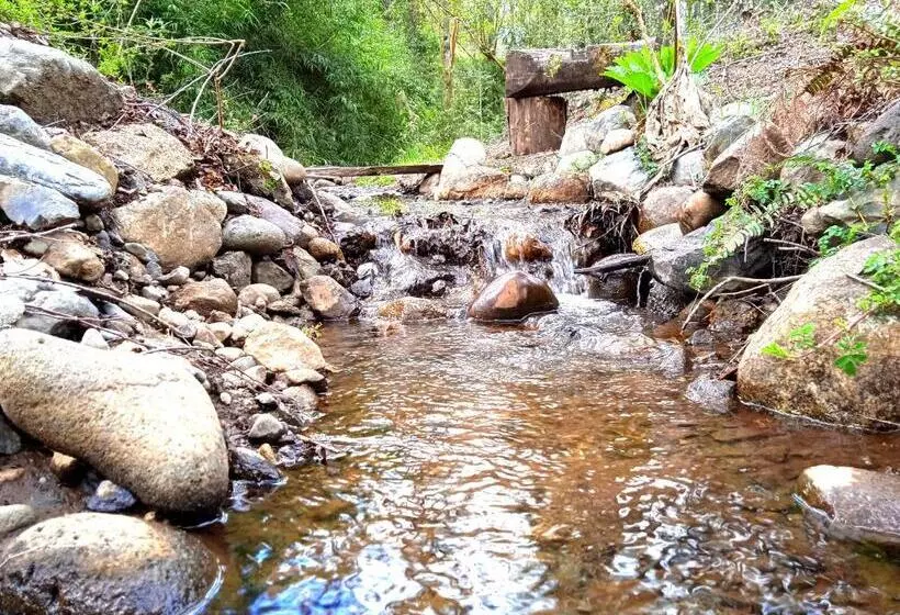 Mi Refugio Del Sur