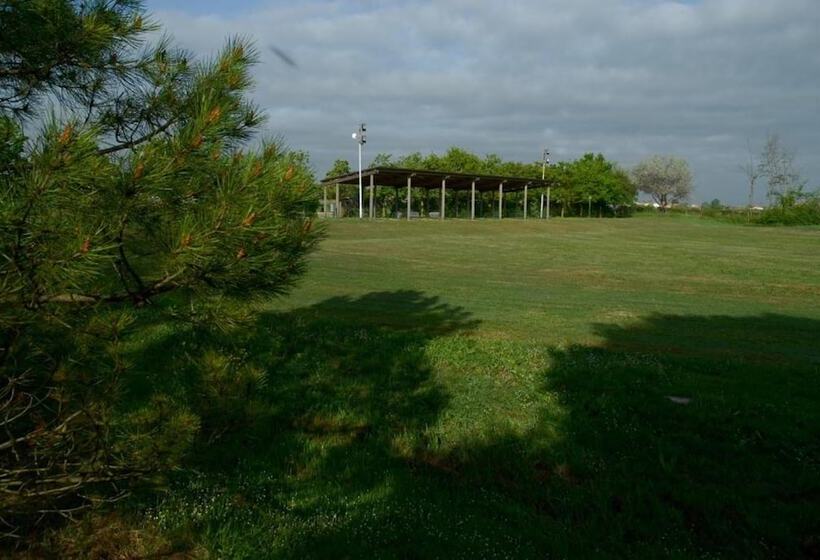 膳宿费 Rose Canine B&b