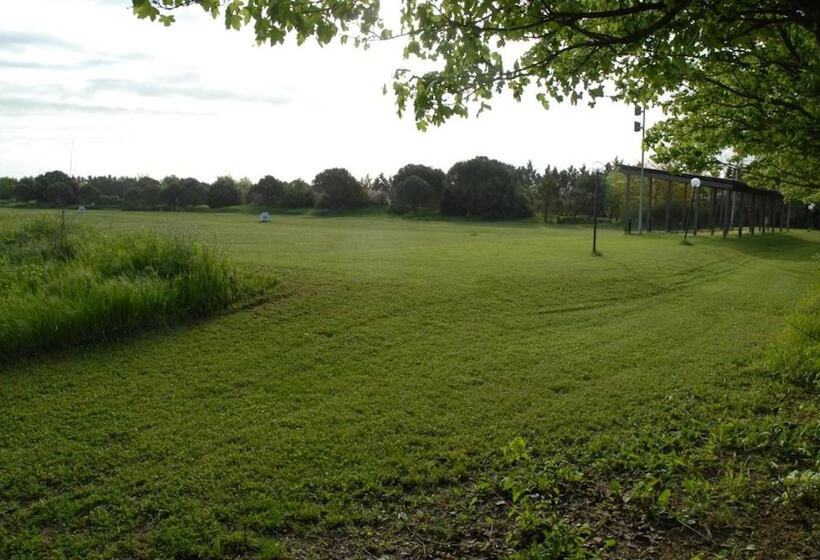 膳宿费 Rose Canine B&b