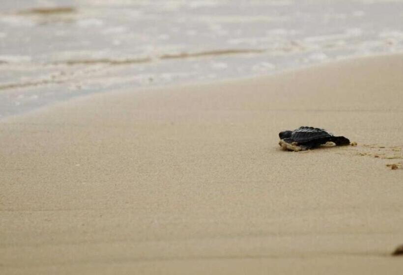 Vilas Na Areia Apart