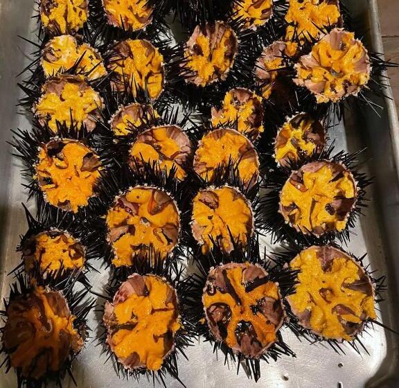 Vilas Na Areia Apart