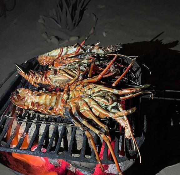 Vilas Na Areia Apart