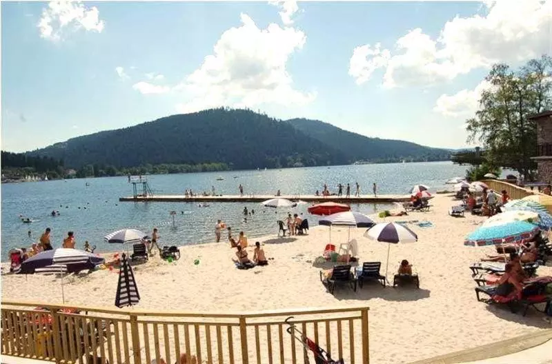 Au Chalet Des Oiseaux Migrateurs