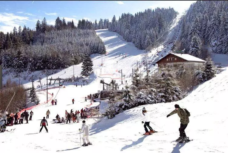 Au Chalet Des Oiseaux Migrateurs