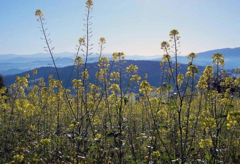 Ferienwohnung Stocker