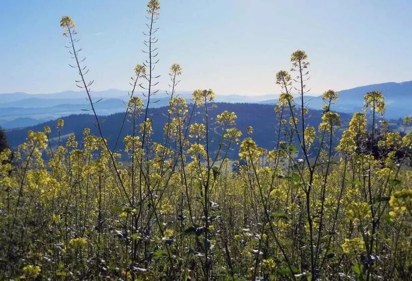 Ferienwohnung Stocker