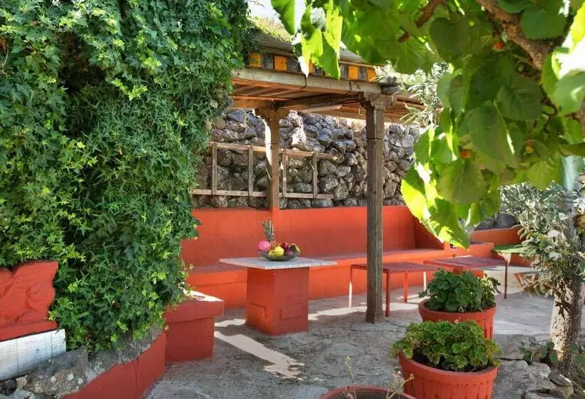 Finca Rural Mar De Nubes