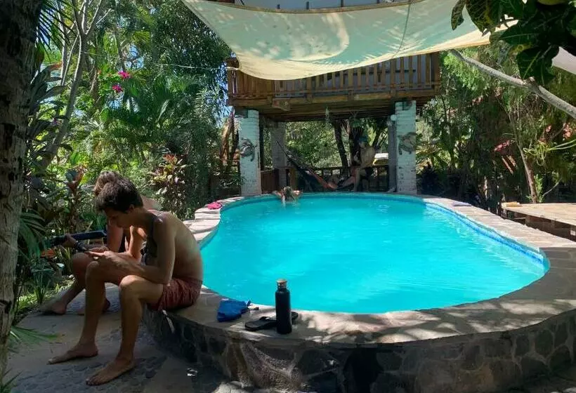 ペンション Casa De Colores