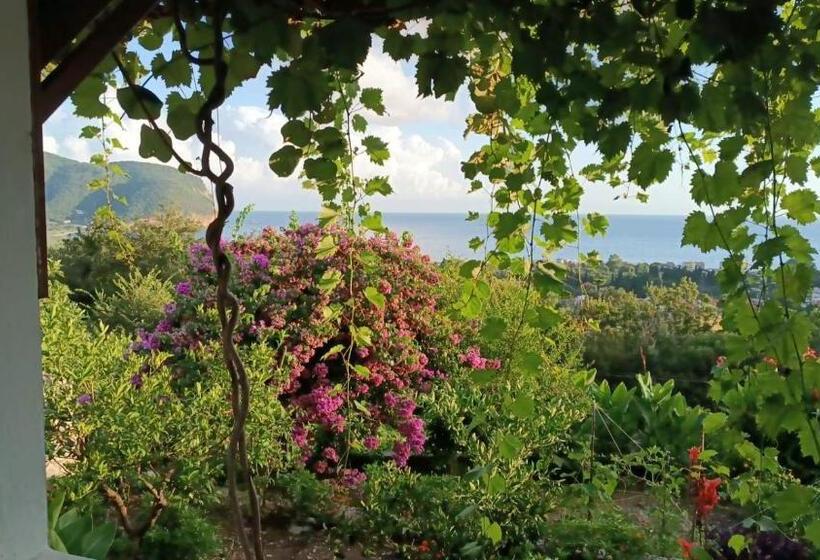 پانسیون Vila Pogled