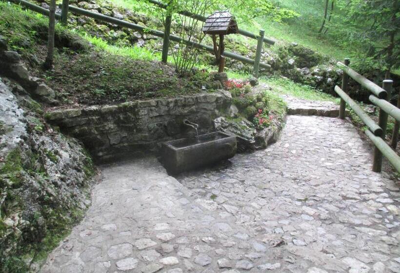 B&b L Asinello Rampante