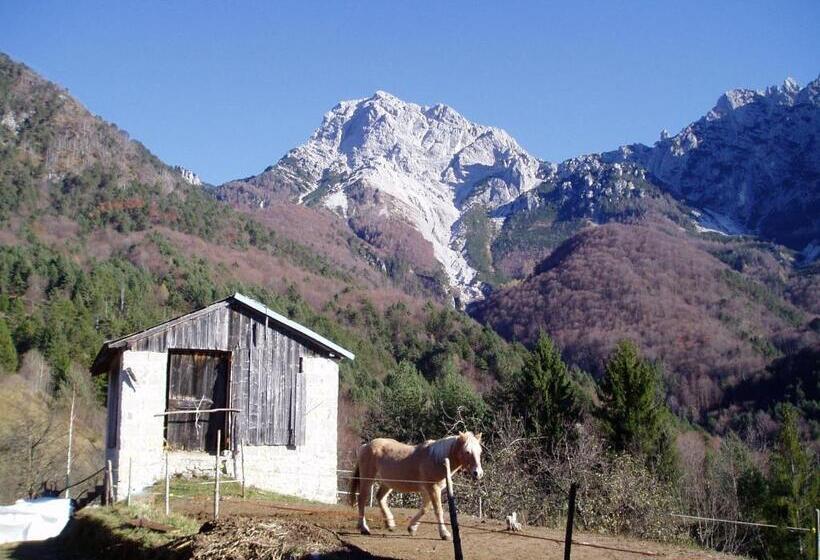 B&b L Asinello Rampante