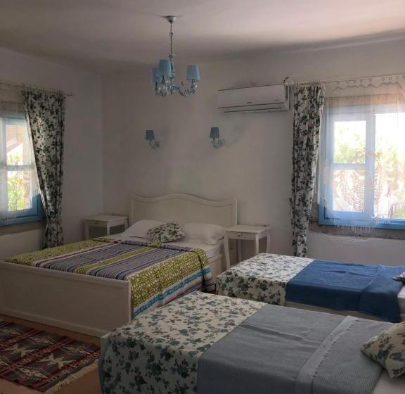 ベッドアンドブレックファースト çakir Bey