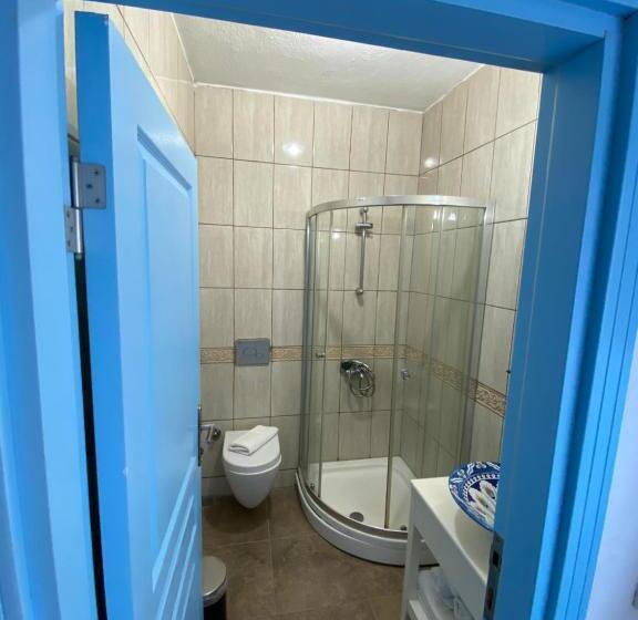 ベッドアンドブレックファースト çakir Bey