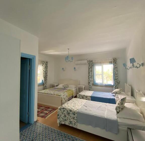 ベッドアンドブレックファースト çakir Bey