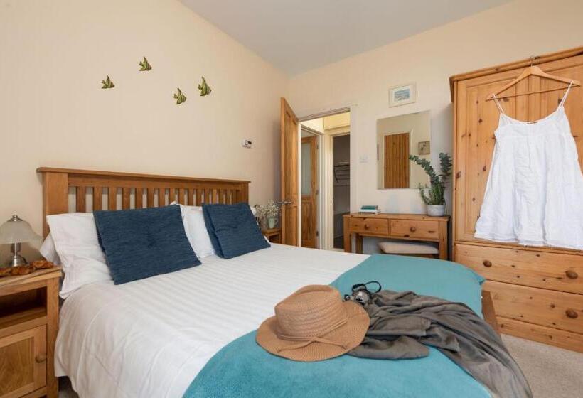 Cormorant Views, Marazion