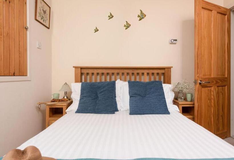 Cormorant Views, Marazion